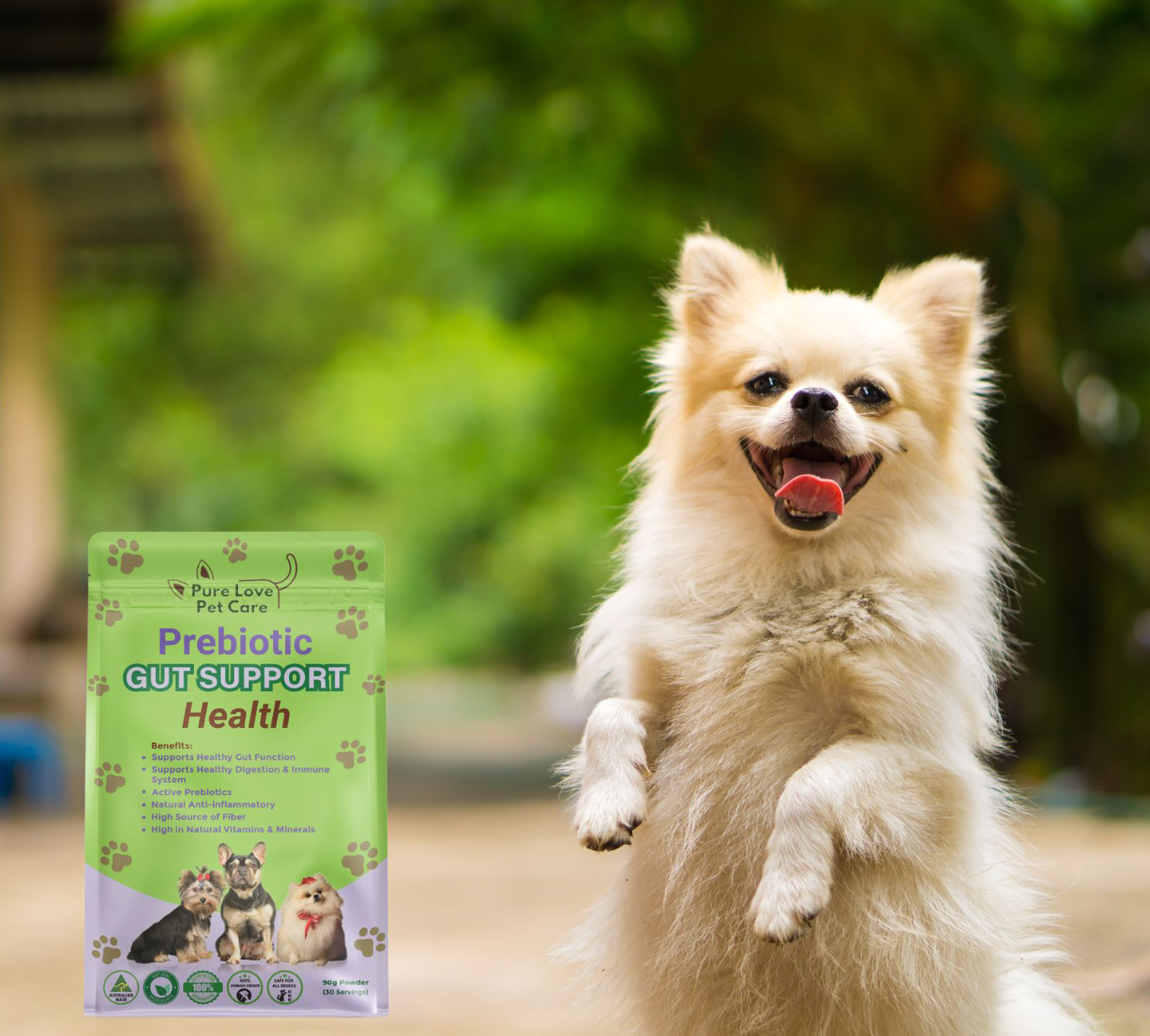 Prebiotic Gut Support