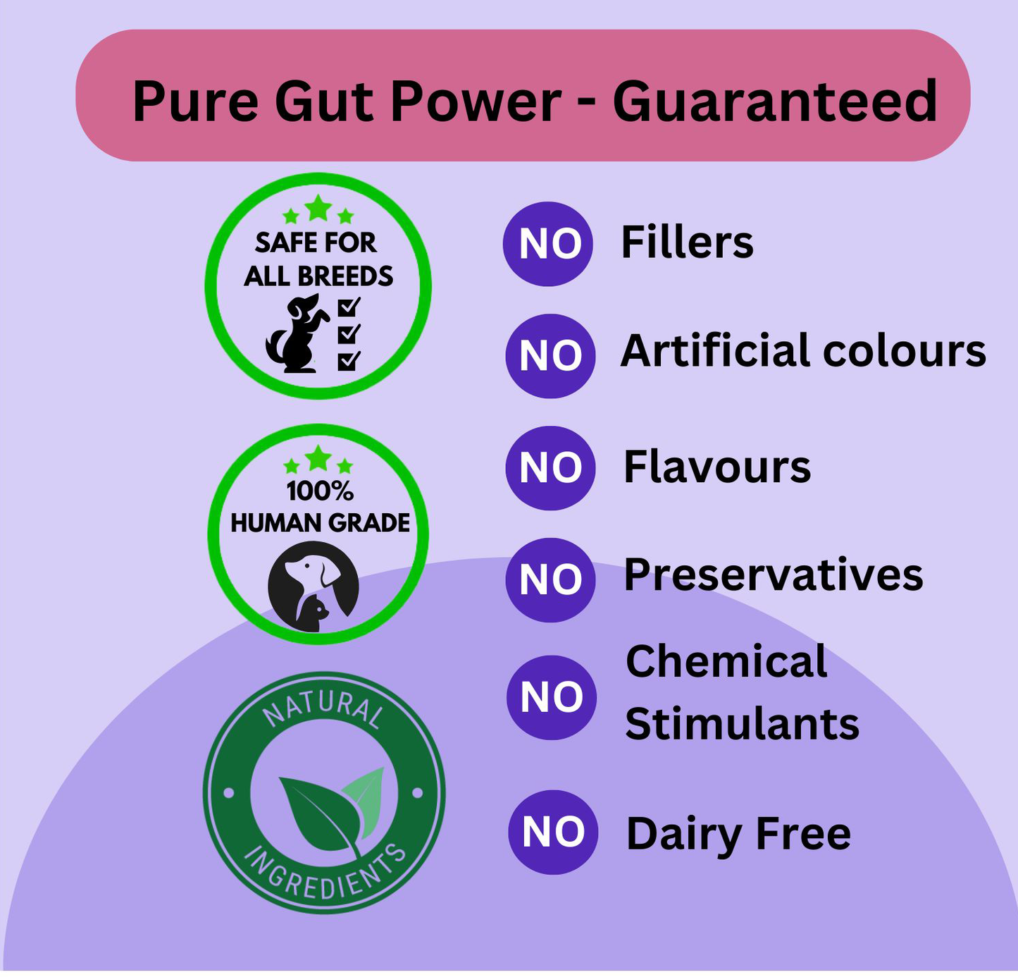 Prebiotic Gut Support