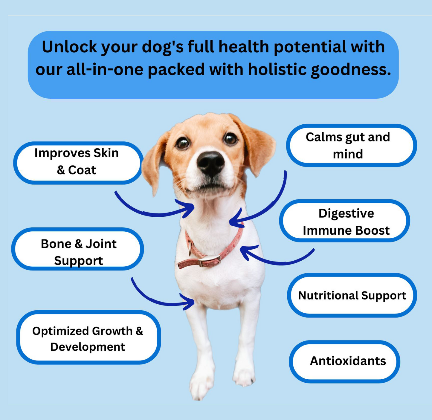 Optimum Pup & Dog Health