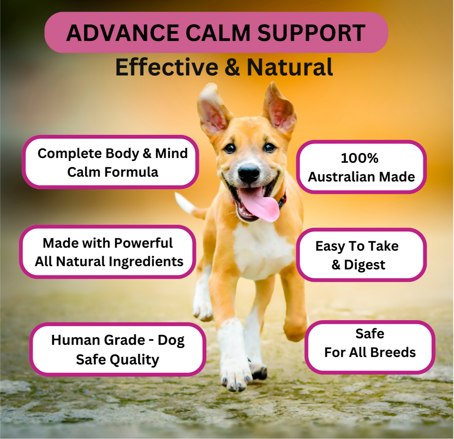 Calm Support