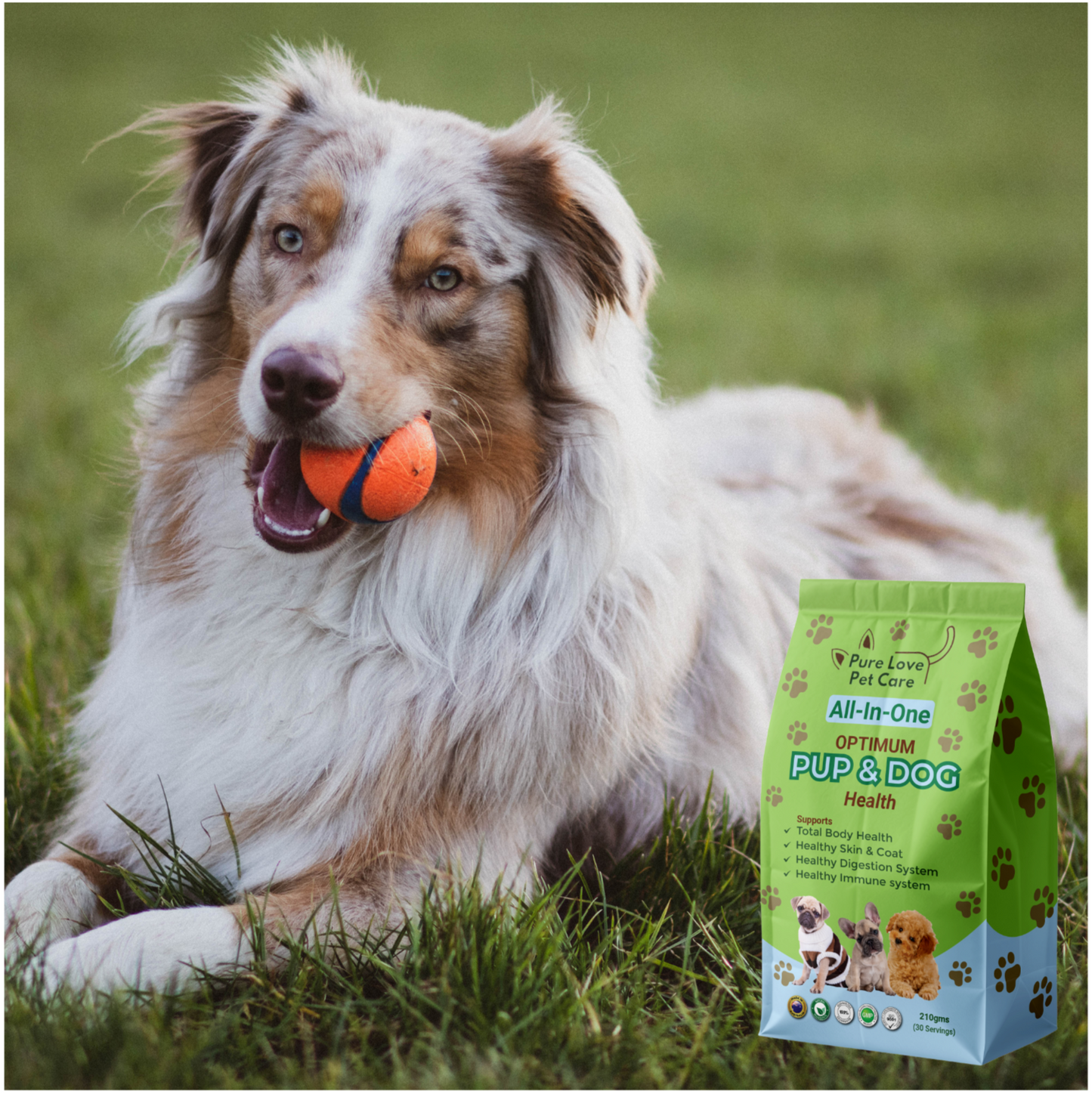 Optimum Pup & Dog Health