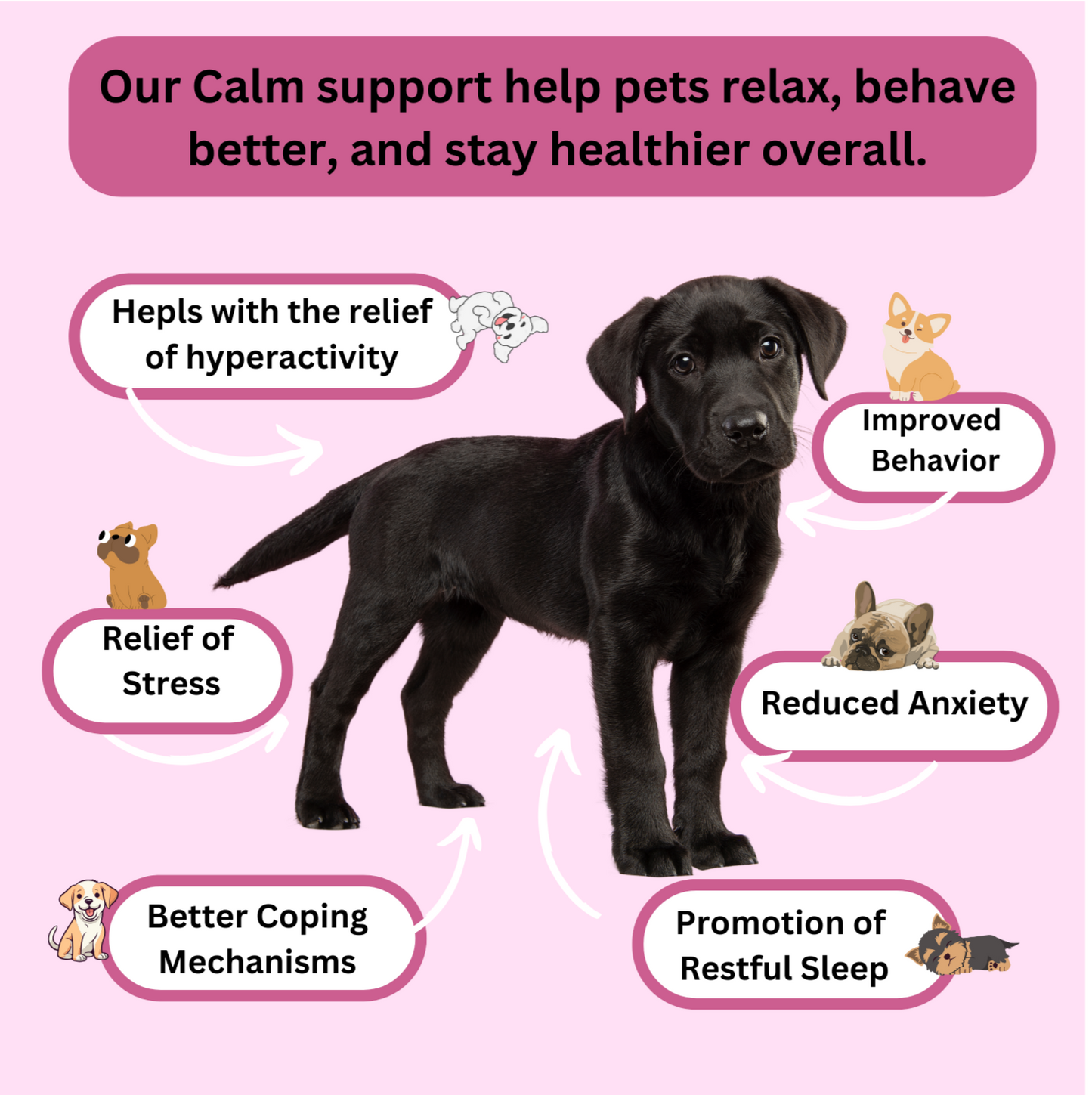 Calm Support