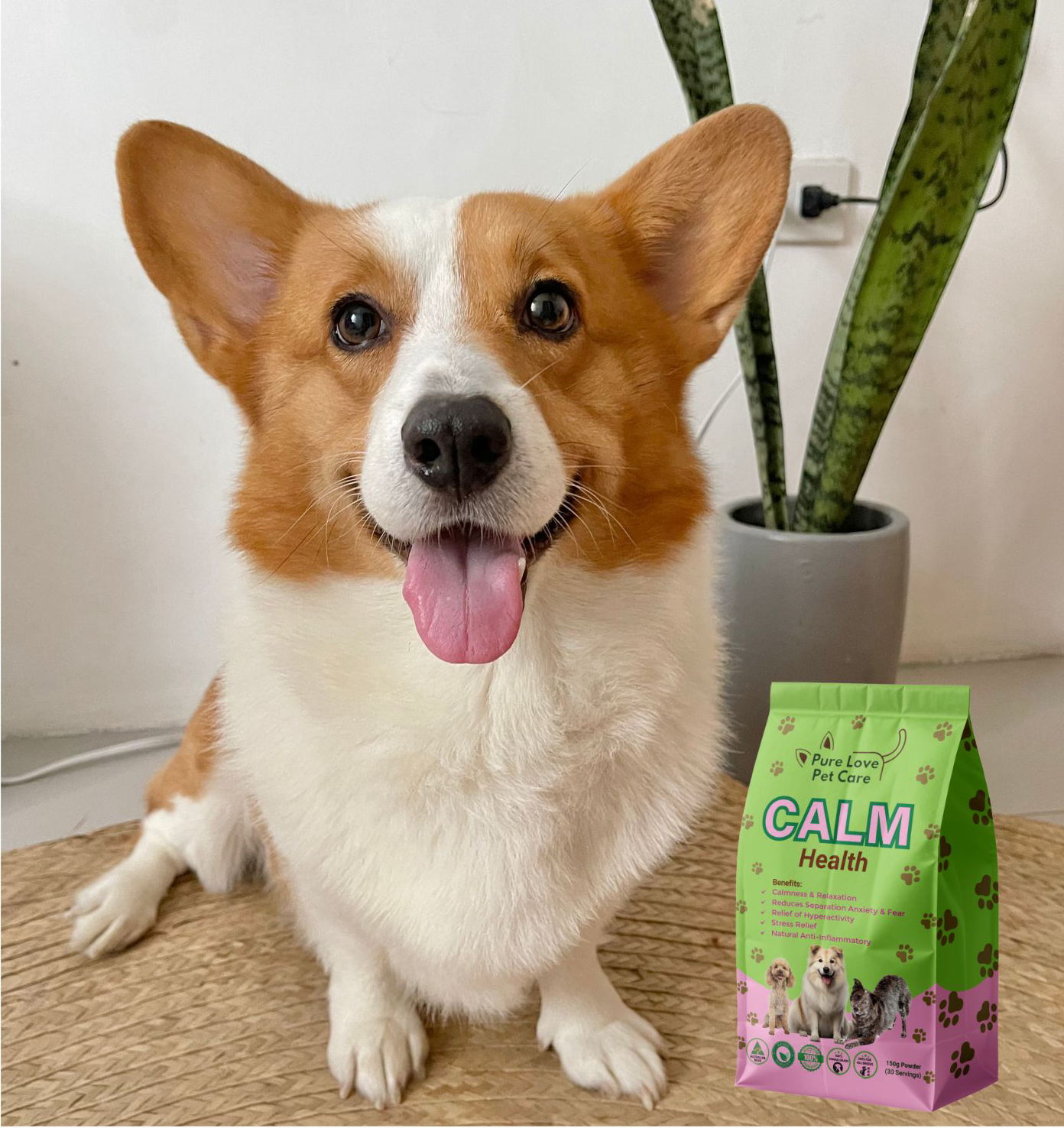 Calm Support - Natural Anxiety & Stress Relief for Dogs & Cats