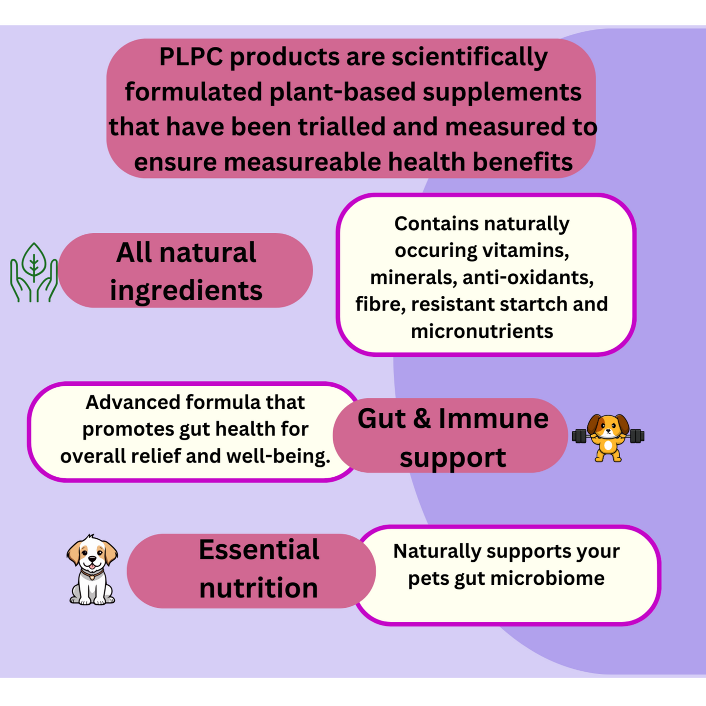 Prebiotic Gut Support