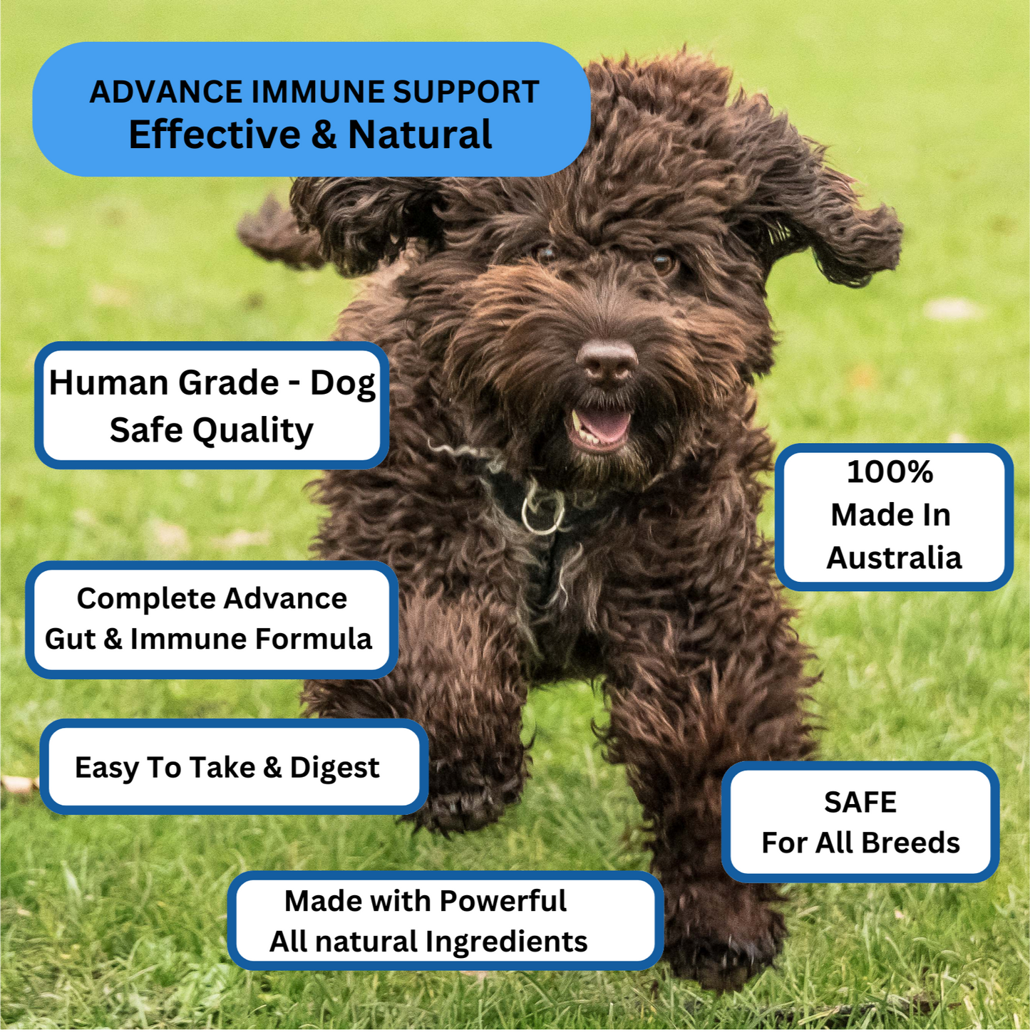 Optimum Pup & Dog Health