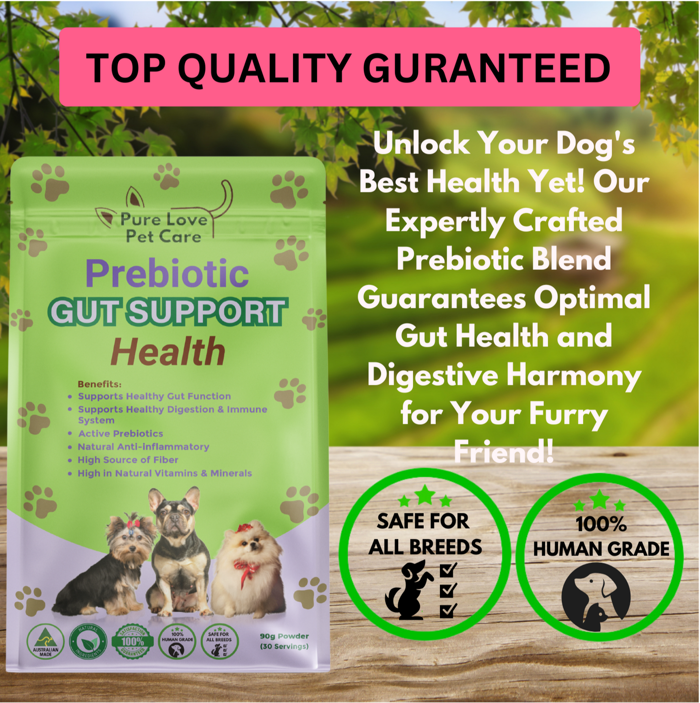 Prebiotic Gut Support
