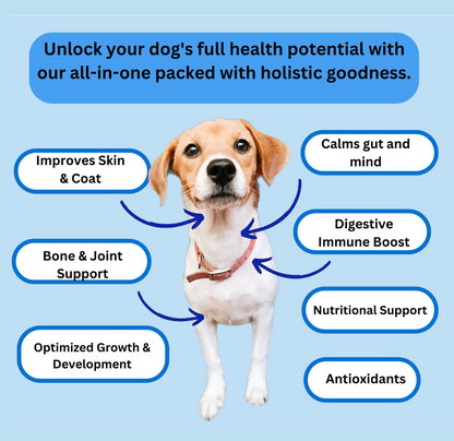 Optimum Pup & Dog Health