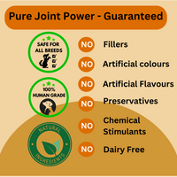 Hip & Joint Support