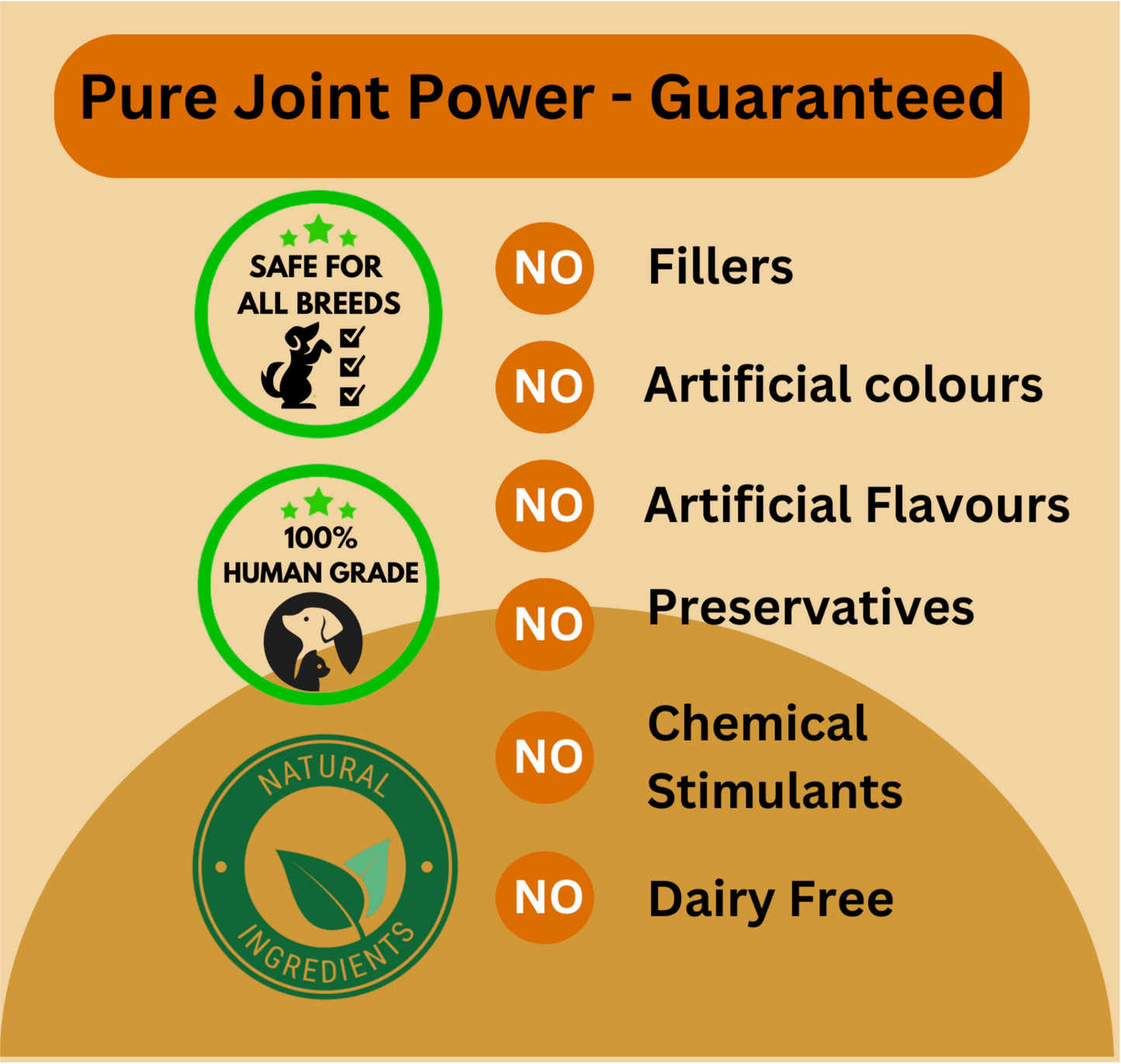 Hip & Joint Support