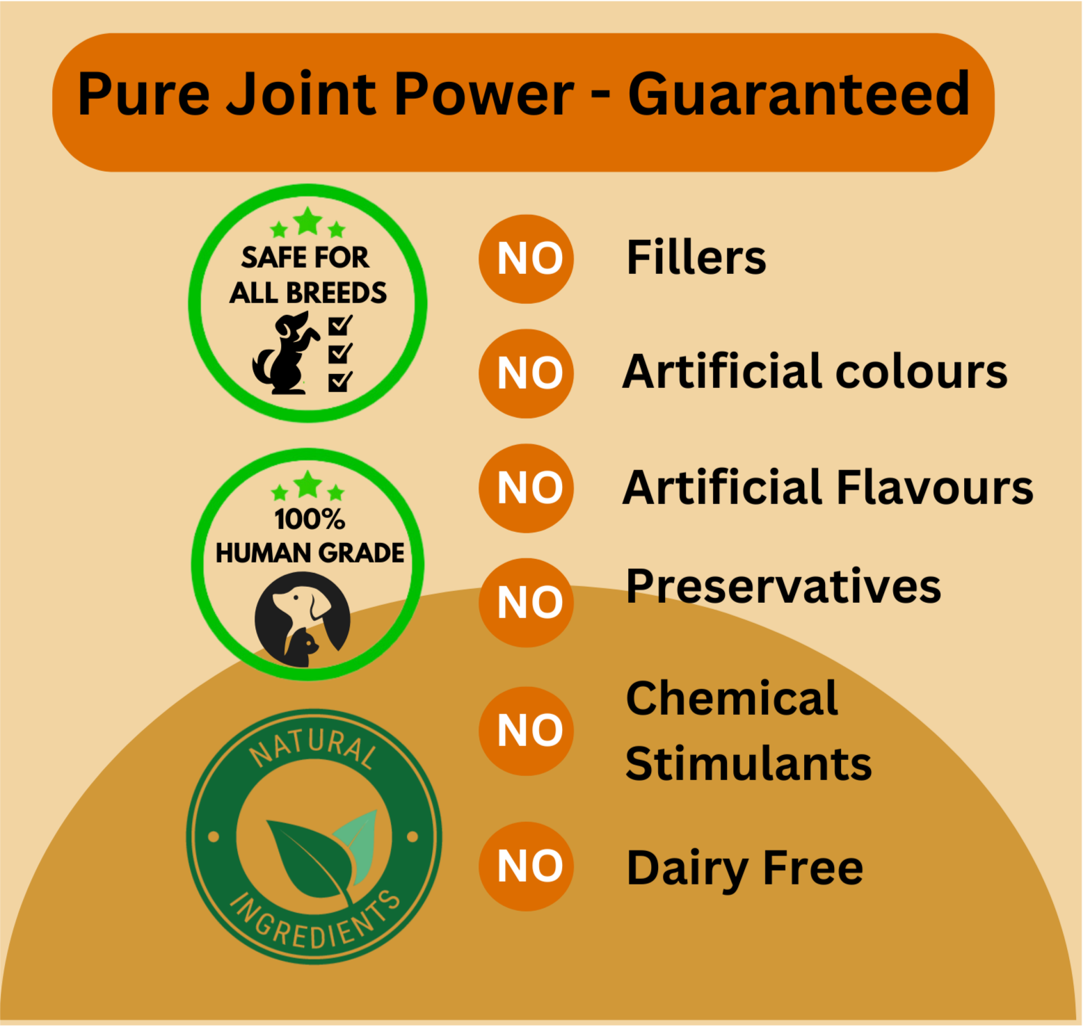 Hip & Joint Support