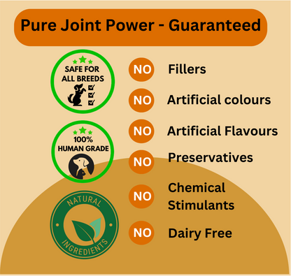 Hip & Joint Support