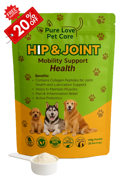 Hip & Joint Support