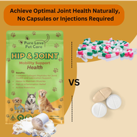 Hip & Joint Support
