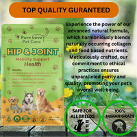 Hip & Joint Support