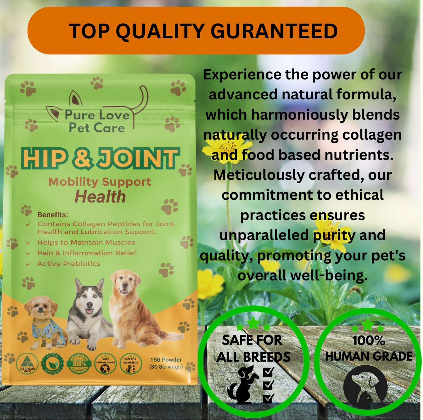 Hip & Joint Support